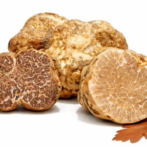 Truffe Blanche Borchii (Italie) 100g